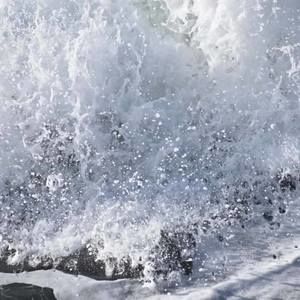 Meet your Posher, Lee